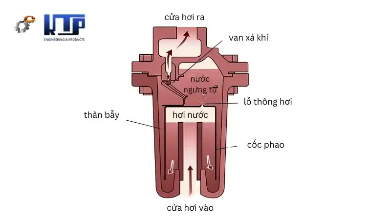 cấu tạo bẫy hơi