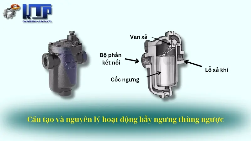 Cấu tạo và nguyên lý hoạt động bẫy hơi gầu đảo