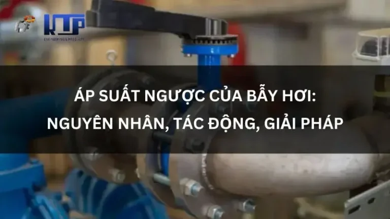 áp suất ngược của bẫy hơi