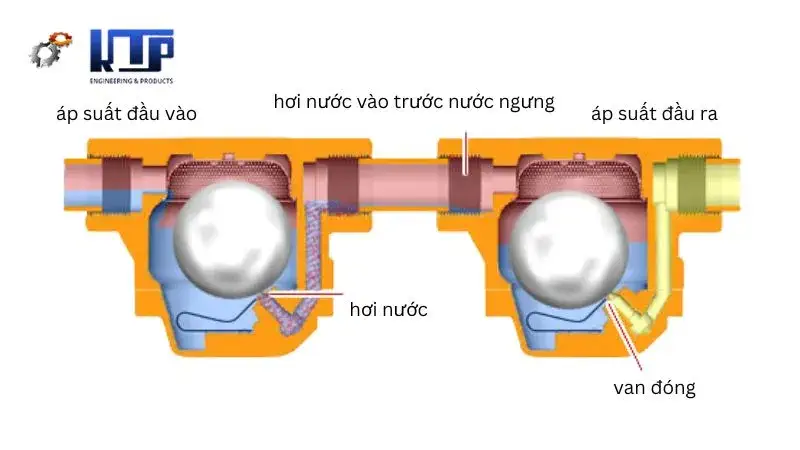 nguyên lý bẫy hơi đôi