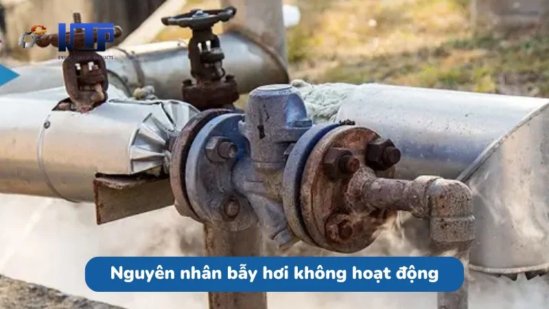 Nguyên nhân khiến bẫy hơi không hoạt động