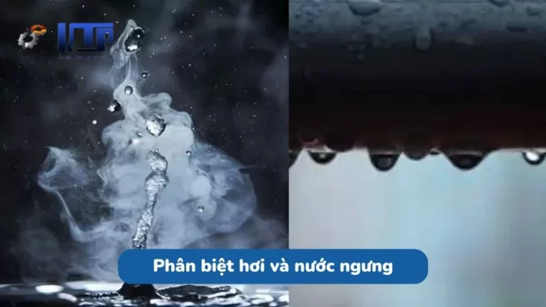 Phân biệt hơi và nước ngưng: Ứng dụng trong thực tiễn