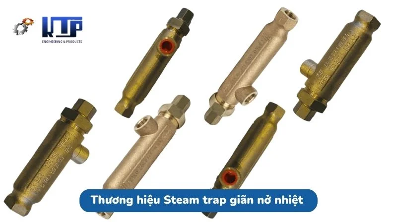 Các thương hiệu Steam trap giãn nở nhiệt hàng đầu