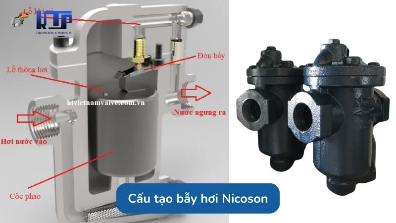 Cấu tạo bẫy hơi phao Nicoson