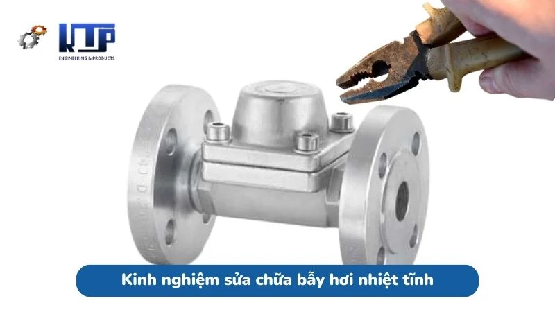 Kinh nghiệm bảo trì và sửa chữa Steam trap nhiệt tĩnh