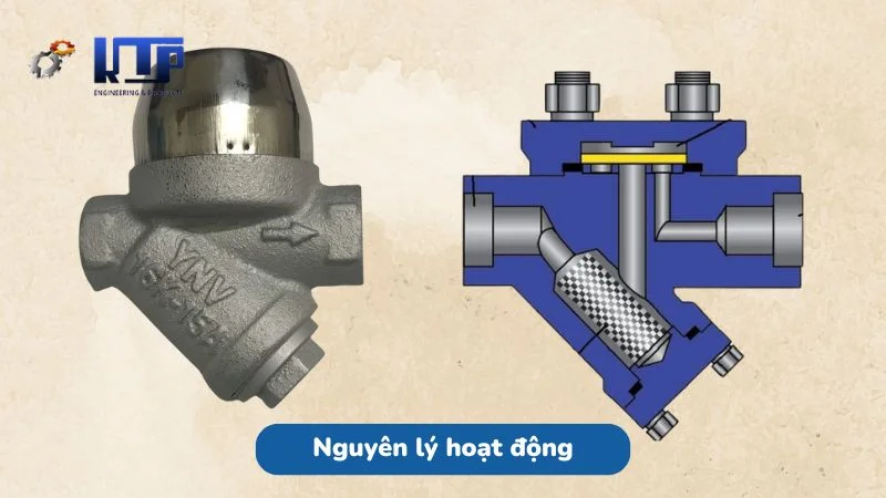 Nguyên lý hoạt động hiệu quả của cốc ngưng hơi đồng tiền