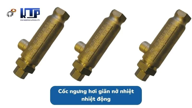 Steam trap giãn nở nhiệt nhiệt động