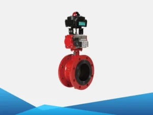 Van bướm đồng tâm 2 Van bướm đồng tâm - Ảnh 2