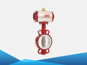 Van bướm đồng tâm 3 Van bướm đồng tâm - Ảnh 3