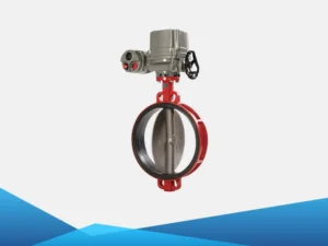 Van bướm đồng tâm 4 Van bướm đồng tâm - Ảnh 4