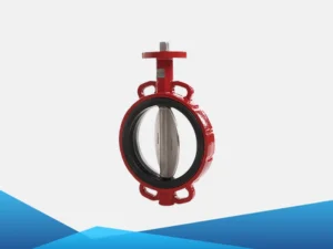 Van bướm đồng tâm 1 Van bướm đồng tâm